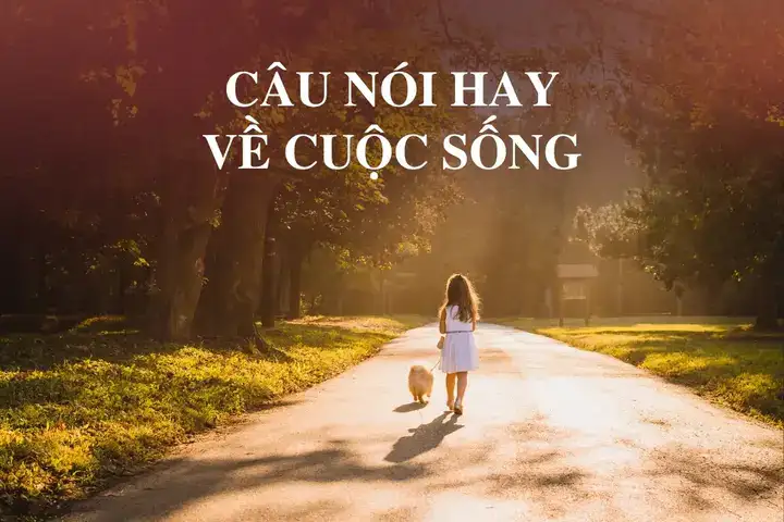 những câu nói hay trong ma sói
