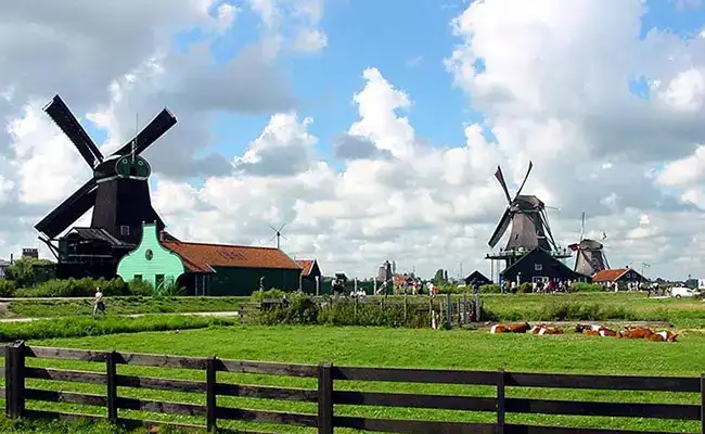 câu nói hay về cối xay gió