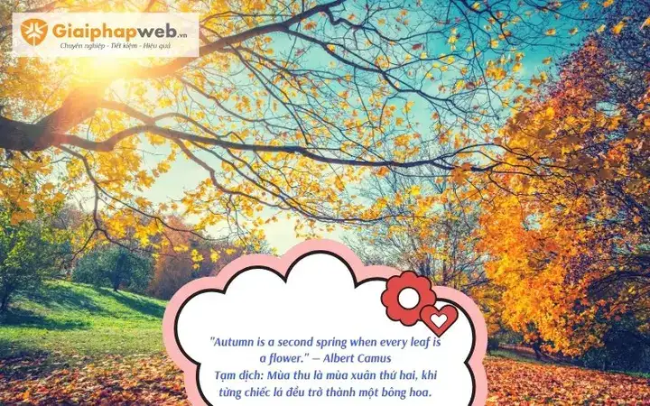 những câu nói hay về mùa thu bằng tiếng anh