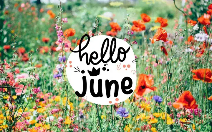 những câu nói hay về tháng 6