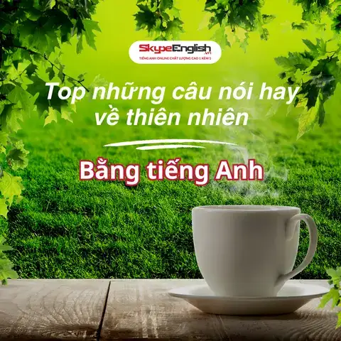 câu nói hay về thiên nhiên bằng tiếng anh