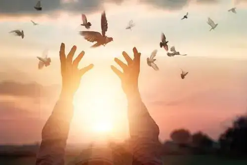 những câu nói hay về lòng khoan dung