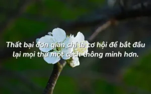 tạ biên cương những câu nói bất hủ