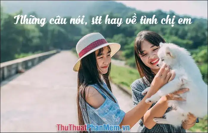 thôi về đi em nói chi câu nói biệt ly
