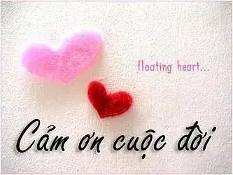 câu nói hay trên ola