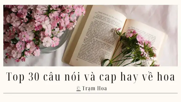 câu nói hay về pleiku