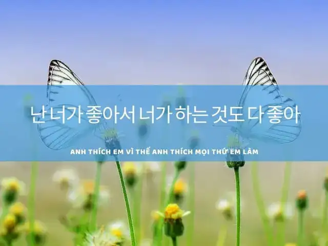 câu nói tiếng hàn hay