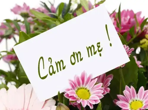 câu nói cảm ơn mẹ