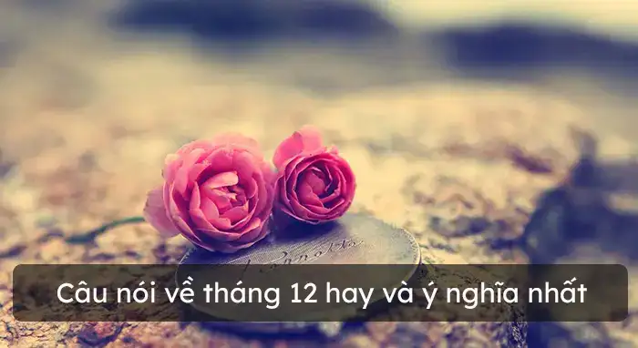 câu nói hay tháng 12