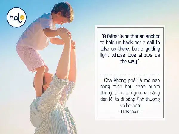 câu nói hay về loài bướm