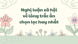 câu nói hay về lòng trắc ẩn