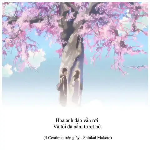 câu nói trong 5cm s