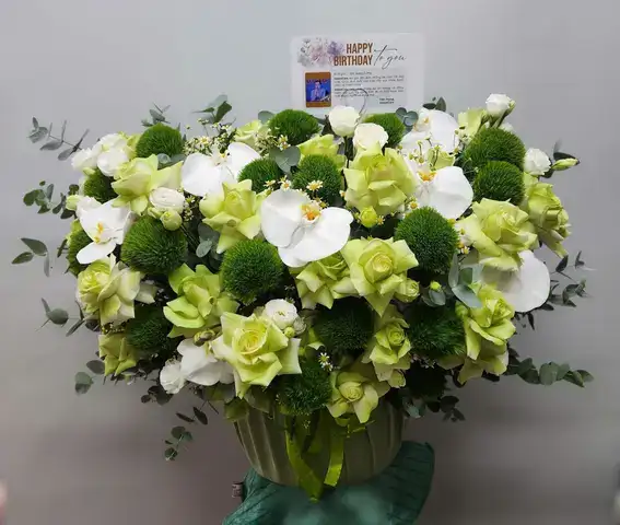 câu nói hay về màu xanh lá câu nói hay về màu xanh lá