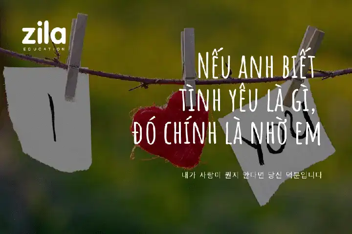 câu nói tiếng hàn hay về tình yêu