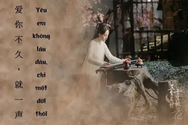 những câu nói ngôn tình tiếng trung